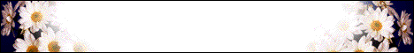Your Banner